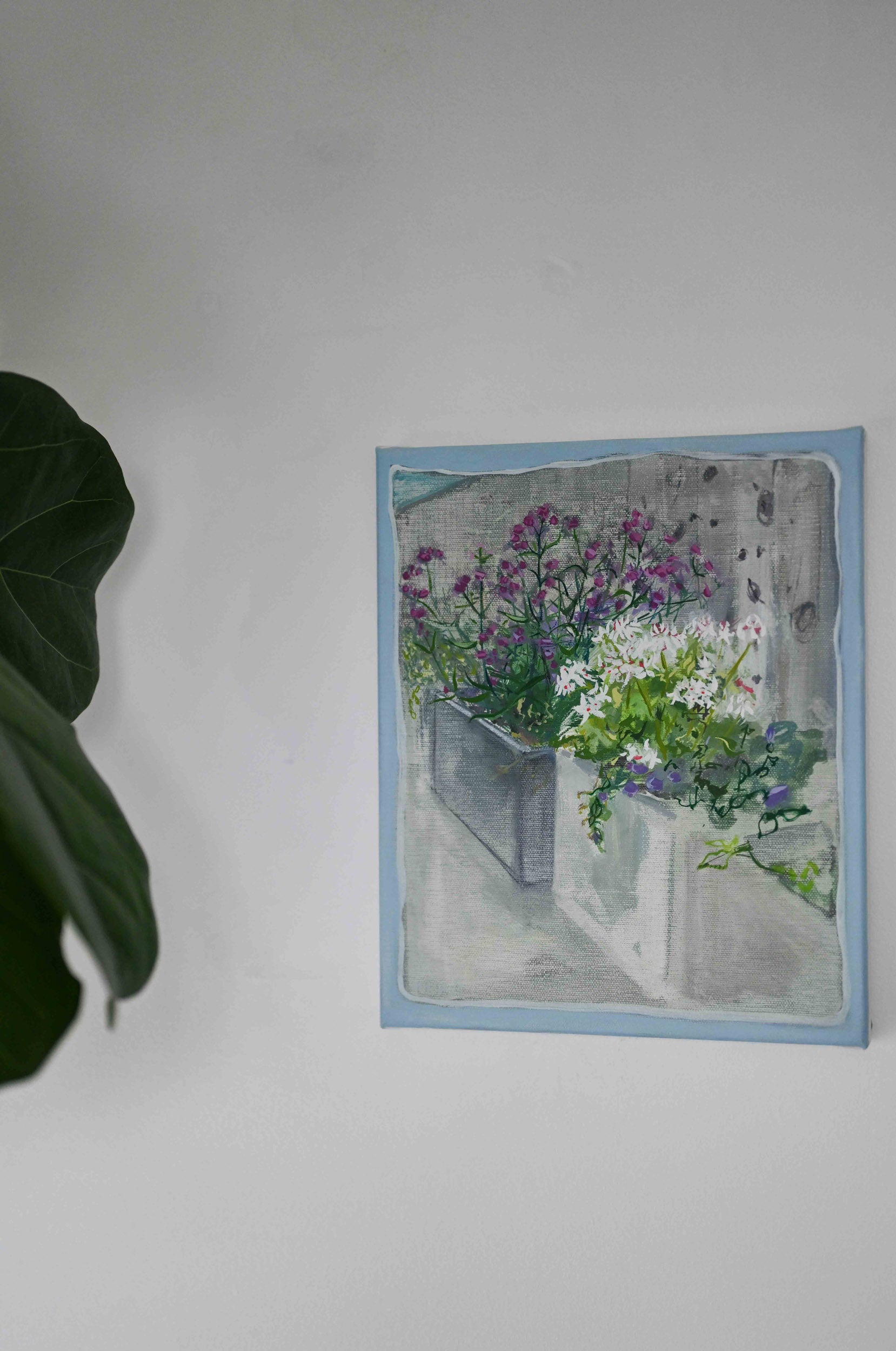 Verbena