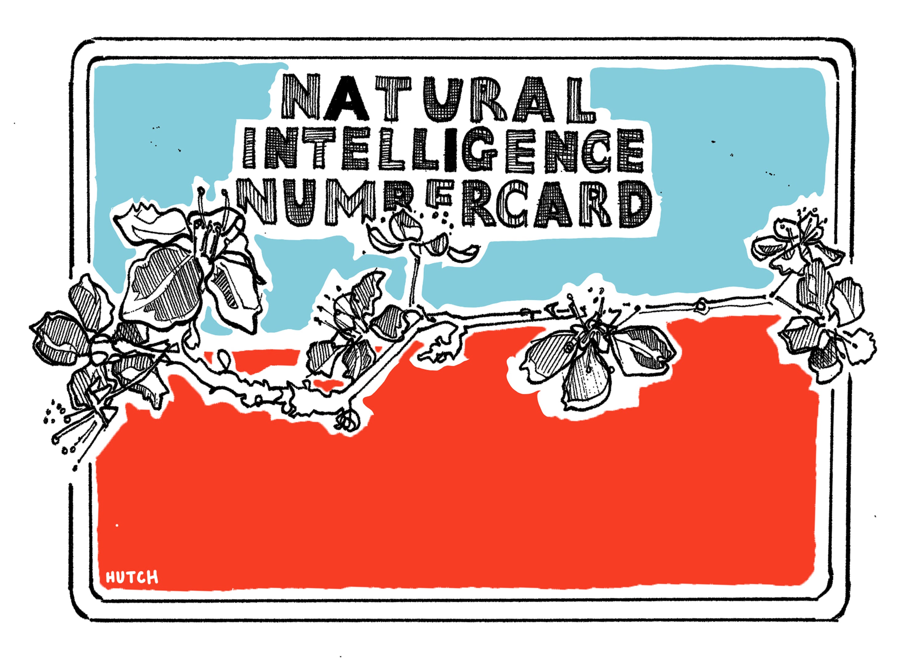 National Intelligence Numbercard